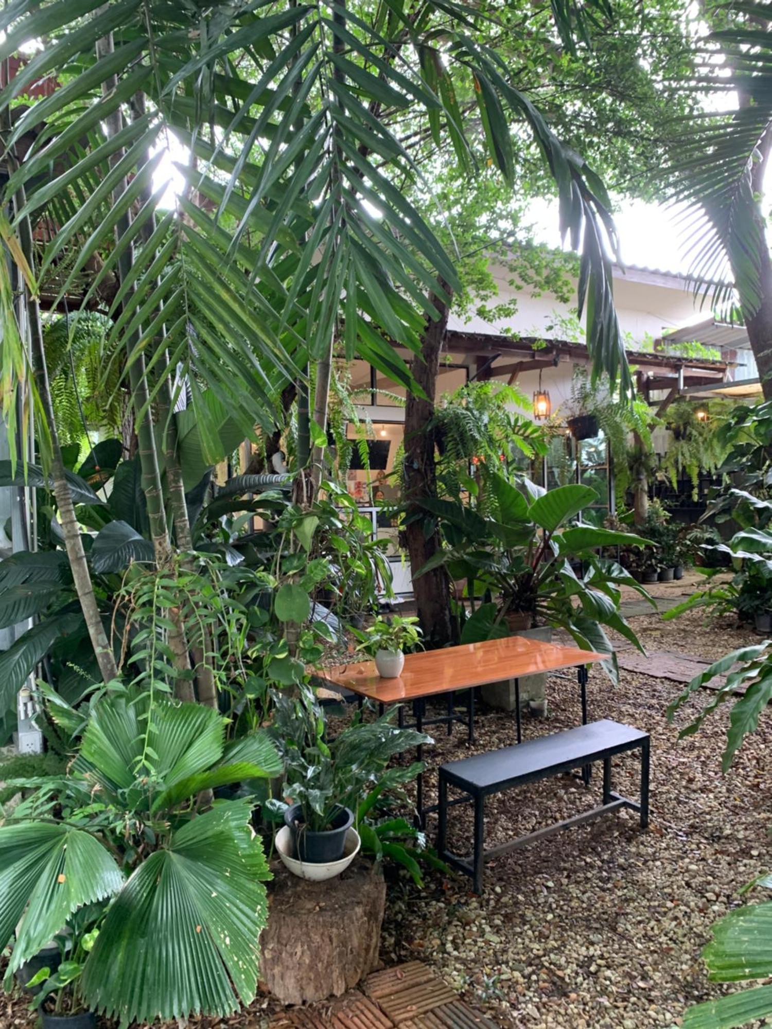 Baan Suan Duang Porn Resort Ban Phae  Zewnętrze zdjęcie