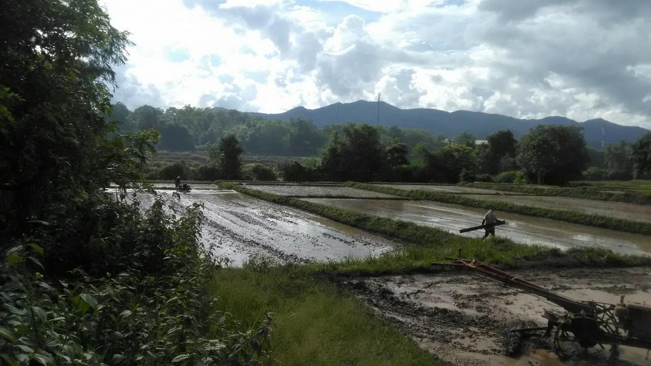 Baan Suan Duang Porn Resort Ban Phae  Zewnętrze zdjęcie